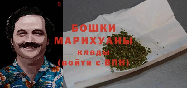 дмт Абаза